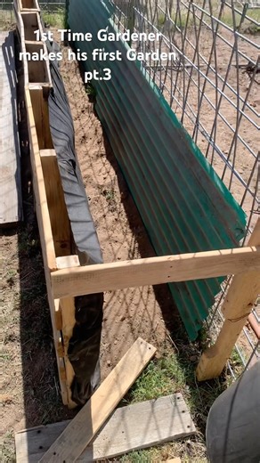 New Gardener making his first garden, raised beds, and trellis.
