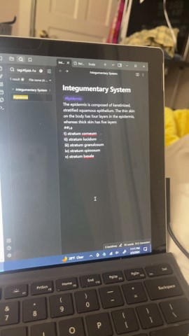 Header Not Working as Intended