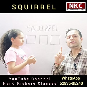 SQUIRREL Challenge Music: Good time 01 Musician: Xuxiao | Maths Solutions by Nand Kishore