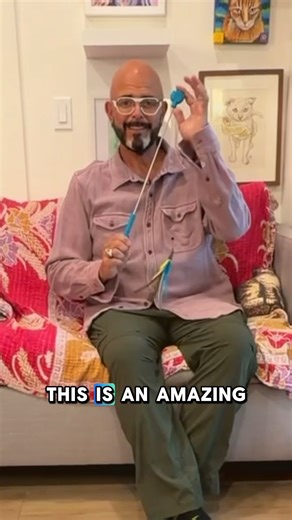 Jackson Galaxy on Instagram: "Three things to remember when you play with your cat: 🫳Hands aren’t toys. 🐦Prey doesn’t fall from the sky. 🦁If it isn’t moving away, your cat isn’t hunting. #playwithyourcat #cats #catplay"