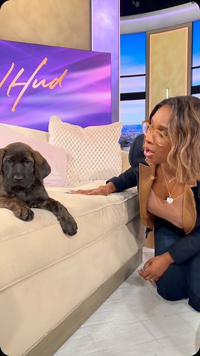 The Jennifer Hudson Show on Instagram: "🥹"