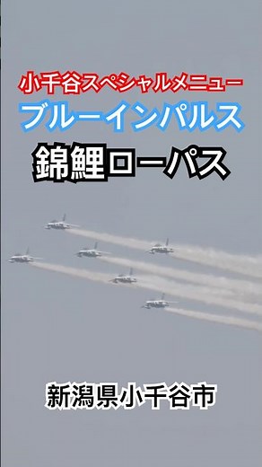 錦鯉ローパス 小千谷限定スペシャル演目 ナレーション収録！ブルーインパルス小千谷の空を舞う！11課目披露！ フルバージョンは関連動画へ 新潟県小千谷市 2026.4.19