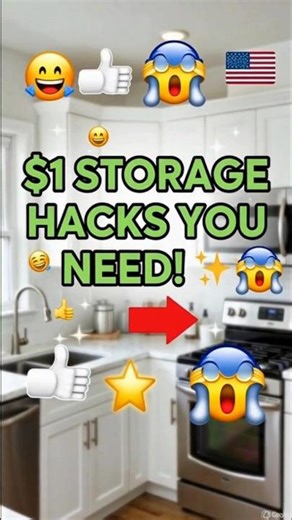 $1 Storage Hacks You NEED in USA! 😱🔥 #DollarTreeFinds #dollartreehacks