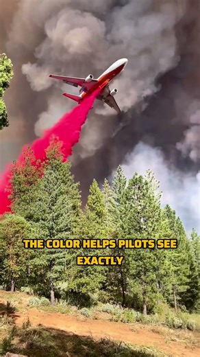Why Firefighting Planes Drop Red Liquid From the Sky 🔥✈️