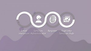 Services Hub 注册和角色