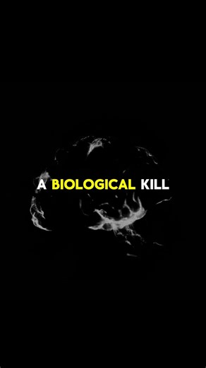 Unleash These 3 Amazing Techniques Now!