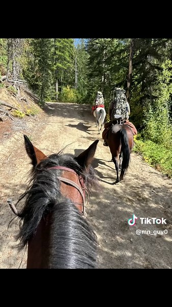 Idaho. #elk #elkhunting #horses #backcountry