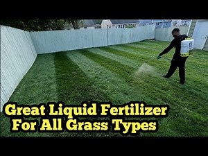 Applying Sta Green Liquid Humic Acid And Sea Kelp Fertilizer