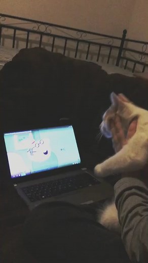 Max adventures! (@maxieadventures)’s videos with original sound - Max adventures!