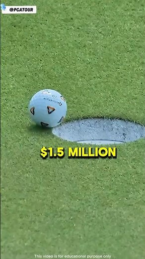 A Fly Made Him A Millionaire! 😳