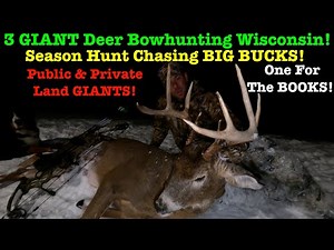 3 GIANT Bucks Down In Wisconsin! Season BowHunt Hunting BIG Deer!