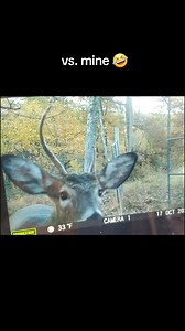 Find your big buck here—> https://amzn.to/3UmnfGz We can’t be the only one haha! This is so true! | Hunting & Fishing Memes