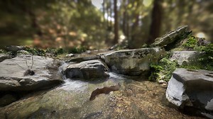 Hill Creek rocks - MTSU - Download Free 3D model by MTSU Animation Virtual Production (@fusion)