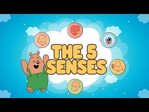 The Five Senses For Kids | Human Senses | Sight, Sound, Smell, Taste, and Touch | #PantsBear