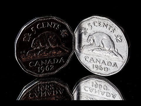 Creative Macro Photography Tips And Tricks Using Coins - MacroWorld