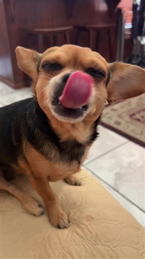 Barbara Olson (@barbaraolson0)’s videos with original sound - Barbara Olson