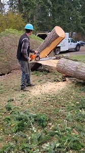 5.4K views | Root ballin' #stormwork #treeservice #tree #arborist #chainsawman | Gaanwala - গানওয়ালা | Facebook