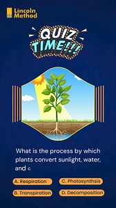 Light Up Your Virtual Learning Voyage: Forge Your Dream Study Haven! Download our App Now: For Andriod Phone: https://play.google.com/store/apps/details... For Apple Phone: https://apps.apple.com/in/app/lincoln-method/id6447110097 . . . . . . #LincolnMethod #learning #ParentingWithLincoln #ShapeTheirFuture #LincolnMethodLearning #Physics #MathShapesMagic #ParentingEducation #OnlineLearning #EducationalJourney #MathExploration #ShapeTheirFuture #LearningAdventure #EdTechForKids #ParentingWins #Ch
