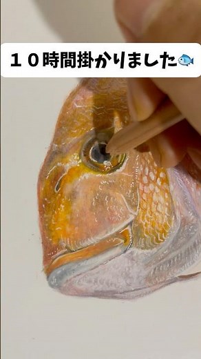 Realistic fish drawn with colored pencils ✏️ #illustration #art #drawing #shorts