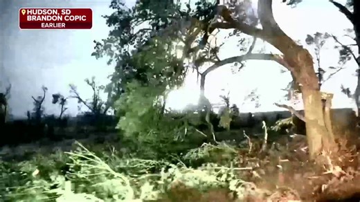 Watch: Significant tree damage found after powerful storms sweep across South Dakota