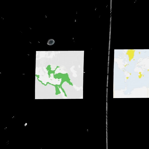 Voorgestelde accounts