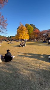 1.4K views · 84 reactions | Autumn in Shinjuku gyoen park #japan | Ajetkulet TV | Facebook