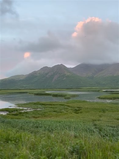 Salmon Sisters on Reels