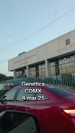 Prueba genética para el Síndrome de Down: Todo lo que necesitas saber