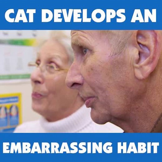 1M views · 17K reactions | YES! You read the title right 濫 Dr. Scott Miller helps a grumpy cat with his embarrassing problem! | Bondi Vet | Facebook