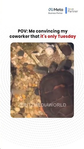Me Convincing My Coworker It's Actually Tuesday 😭