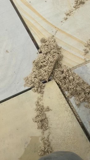 Enhancing Your Outdoor Space: Patio Repointing Tips