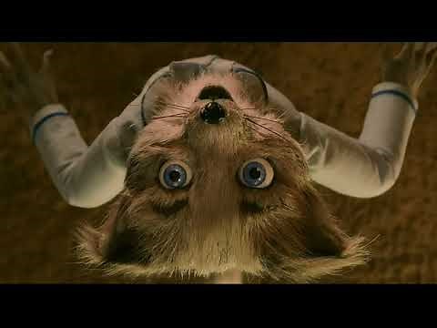 Fantastic Mr. Fox (2009) DIG!