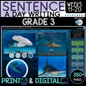 Sentence Writing Grade 3 Weeks 11 to 20