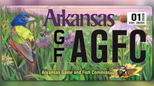 Arkansas Game and Fish Commission reveals 2026 conservation license plate