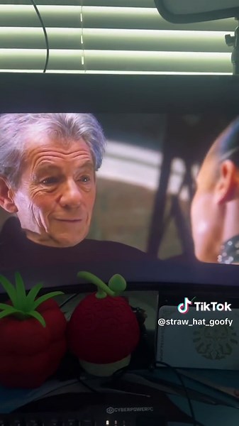 Straw Hat Goofy (@straw_hat_goofy)’s videos with original sound - Straw Hat Goofy