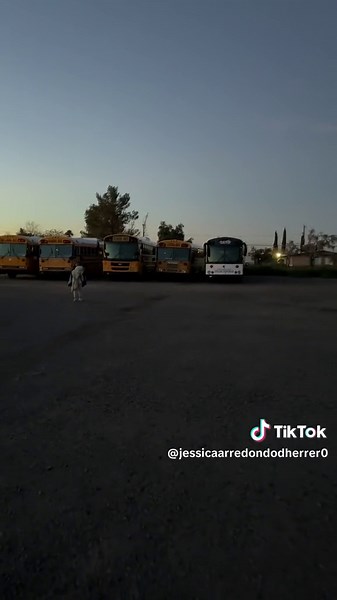 Jessica Arredondo D (@jessicaarredondodherrer0)’s videos with original sound - Compita JR