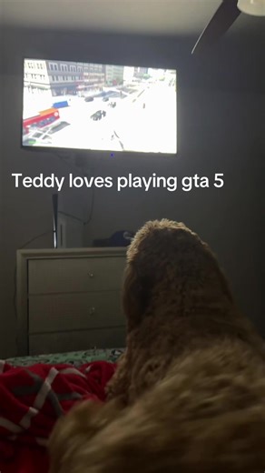 Teddy loves gta 5#viral #fyp #fypシ