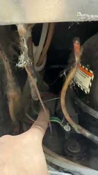 Refrigerator not cooling? Check this first – start capacitor. #appliancerepair #refrigerator ￼