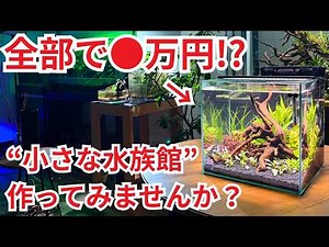 【作り方＆総額公開】初心者でもできる30cm水槽立ち上げ！必要な機材からレイアウトまですべて見せます