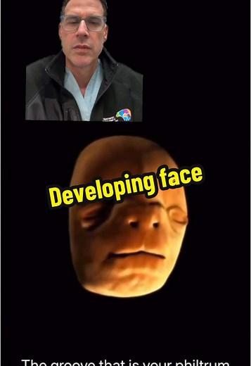 Stunning Animation of Human Face Development