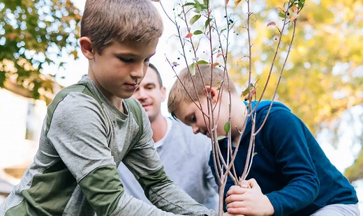 PG&E Partners with Arbor Day Foundation to offer 3,000 Free Trees to Customers