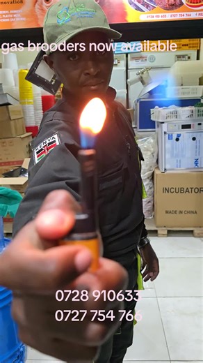 High-Quality Gas Brooders for Sale Now Available