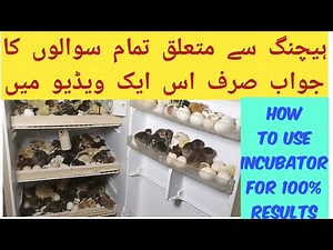 How To Use Incubator Full Information Thermostat Settings and Humidity Control by Rajgan Fancy Poult