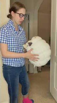 Pokemon Naming: Wooloo