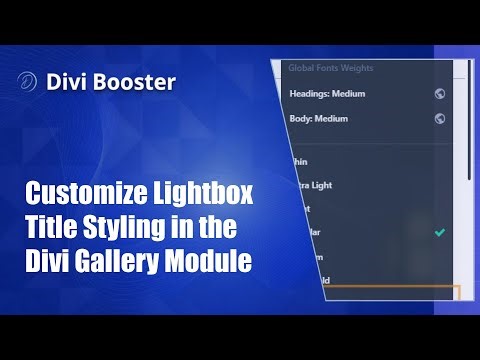 Customize Lightbox Title Styling in the Divi Gallery Module