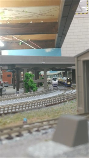 【Nゲージ】E657系、255系並走シーン