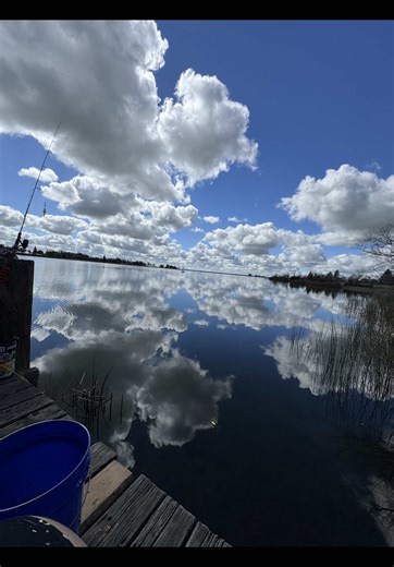 Limit Catching with the Pito Rig
