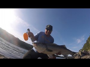 Fishing the Cape Cod Canal | Chapter 3: Striped Bass Heaven