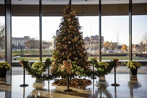 The Science of Christmas Trees - Smithsonian Gardens