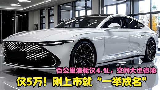 仅5万！刚上市就“一举成名”，百公里油耗仅4.1L，空间大也省油